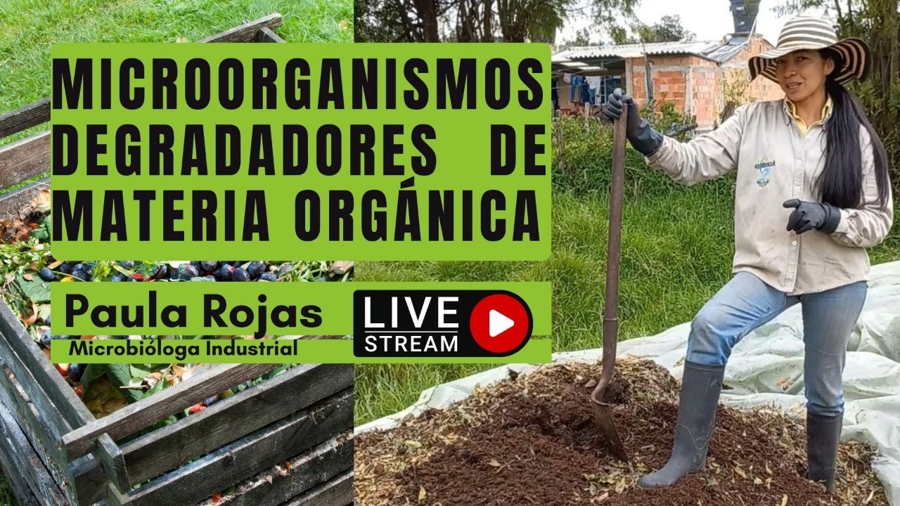 Microorganismos degradadores de materia org&aacute;nica