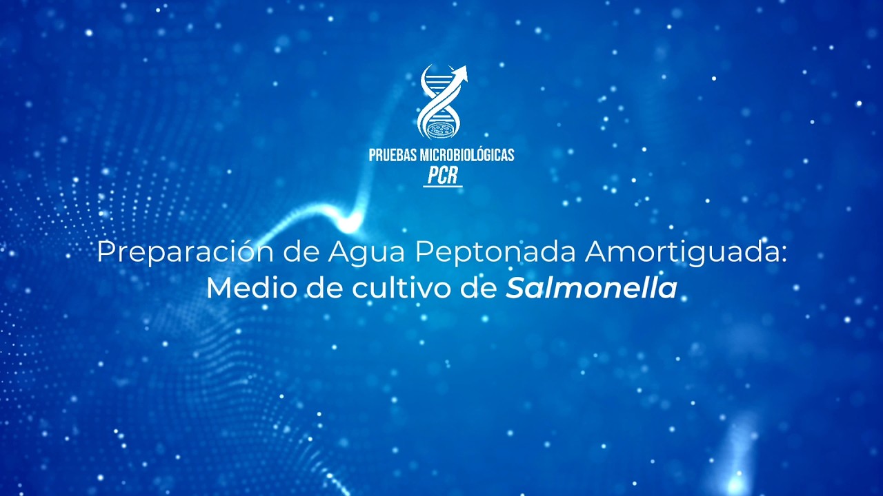 Preparación Agua Peptonada Amortiguada: Medio de Cultivo Salmonella