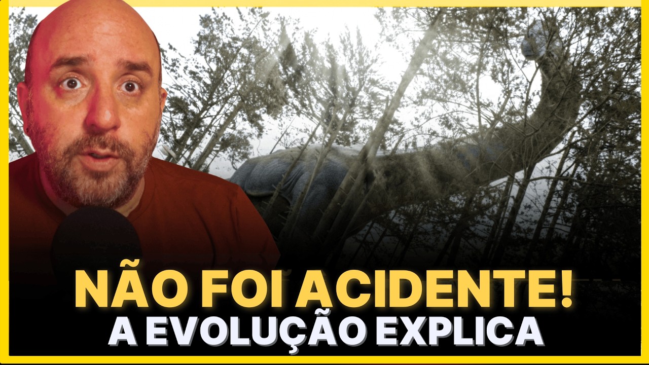 COMO A EVOLUÇÃO FAVORECEU DINOSSAUROS GIGANTES?