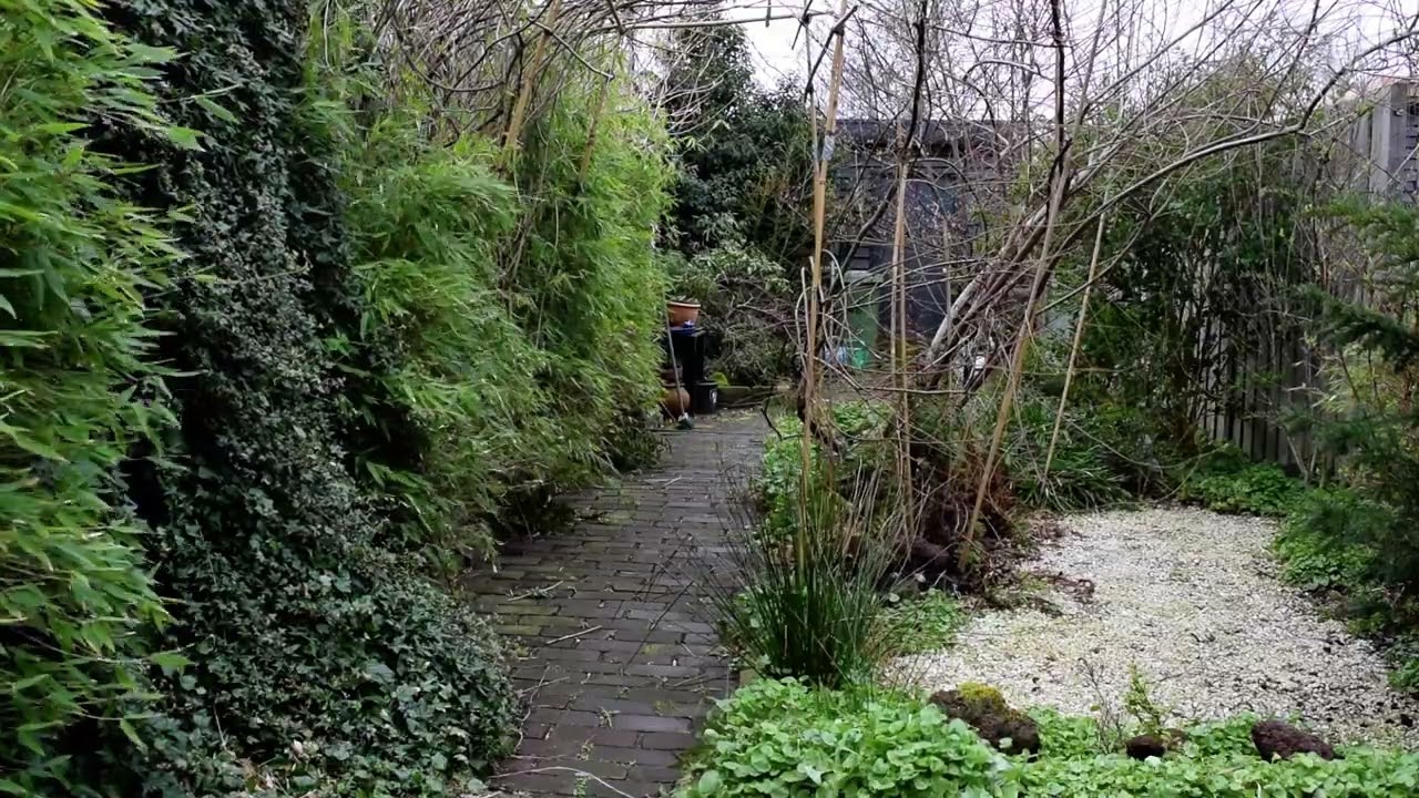 The boring Garden #087