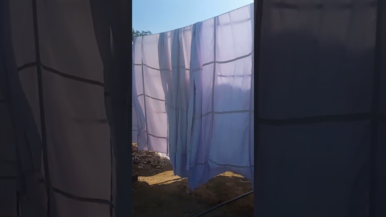 Tent nemugha hire luni shi kemi ye asutsa shilo