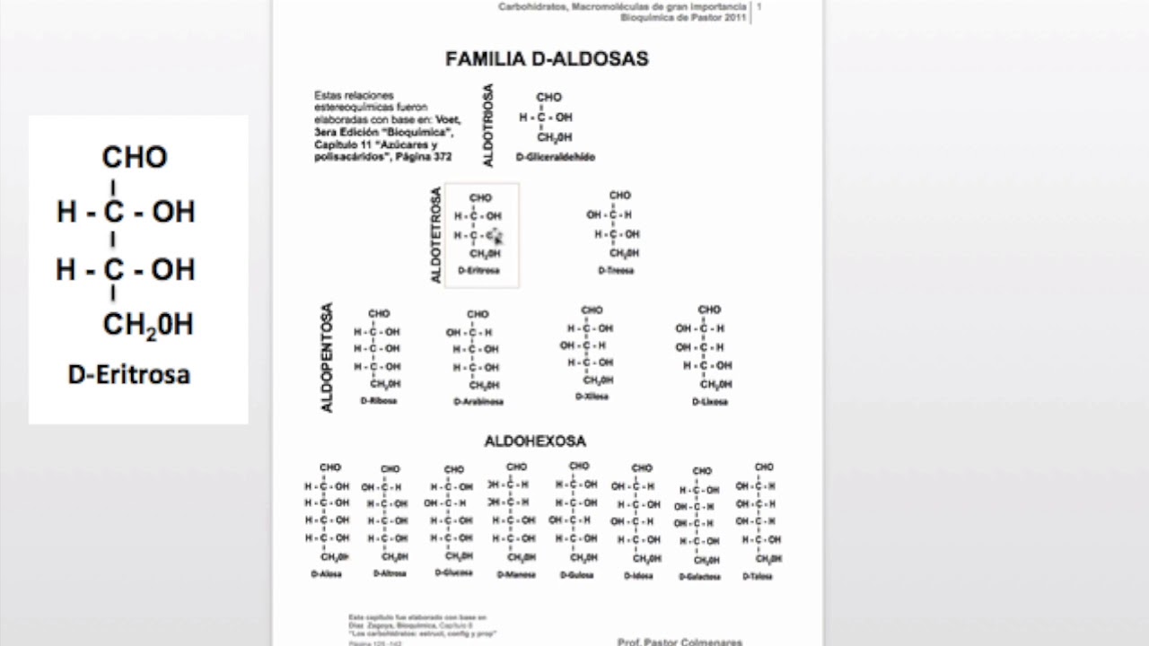 Aldosas y cetosas (estructura) | Carbohidratos Parte IV