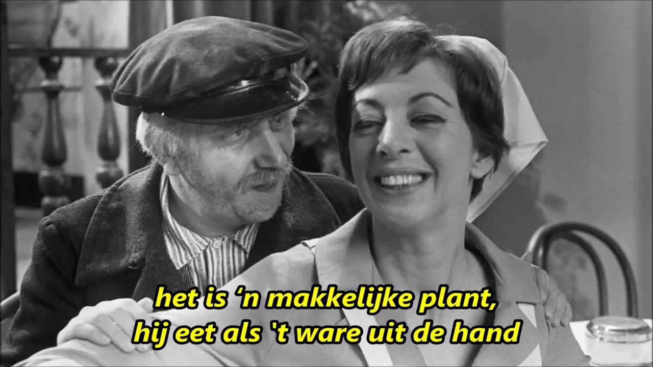 1967 EEN STEKKIE VAN DE FUCHSIA Ja zuster nee zuster 1