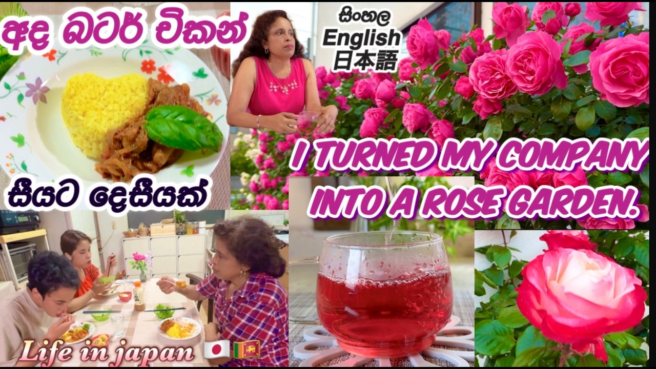 මේක නම් මනුස්සයෙක්ගෙ වැඩක් වෙන්න බෑ🇱🇰Turned my company into a rose garden🇯🇵ローズウォーター🌹Life in Japan🇯🇵