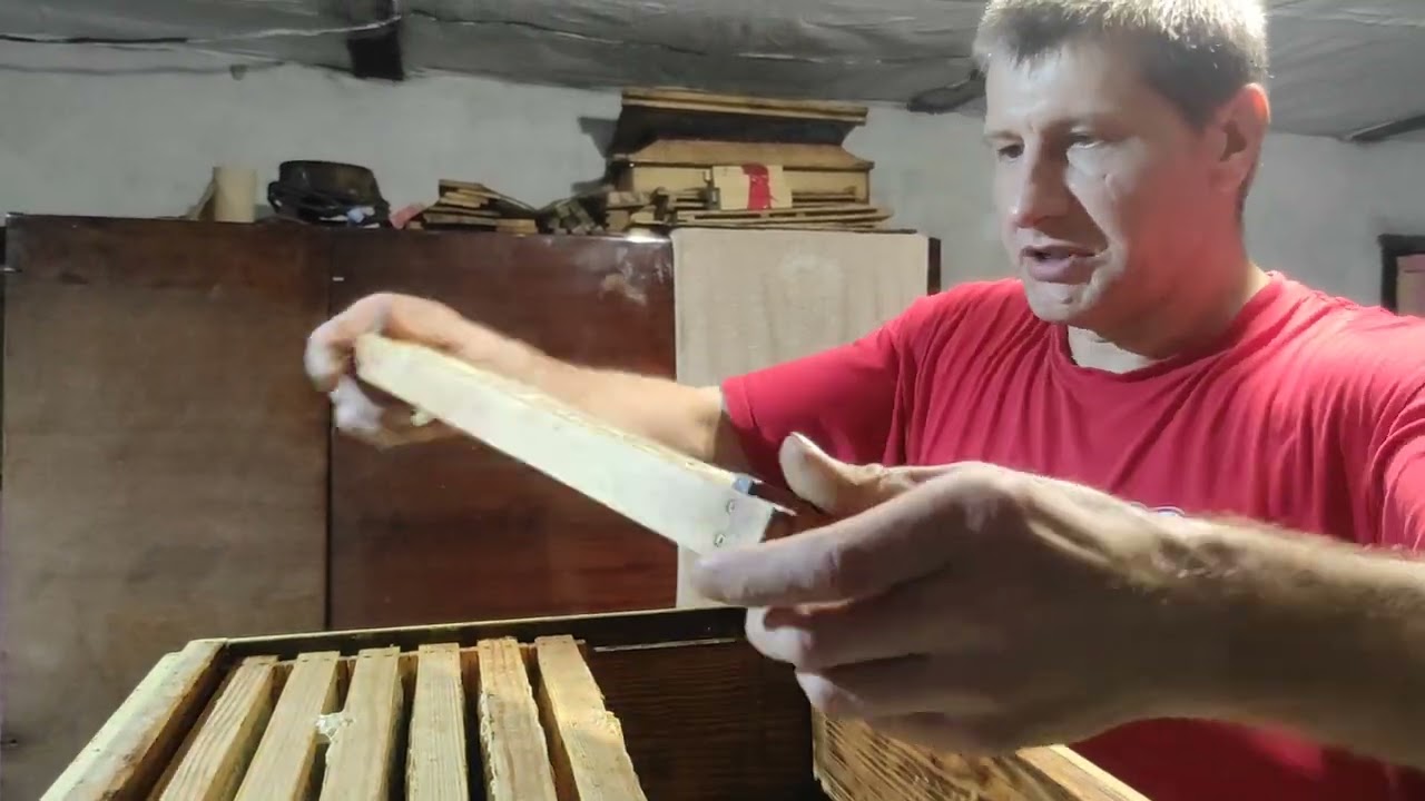 Пасечный нож Павик