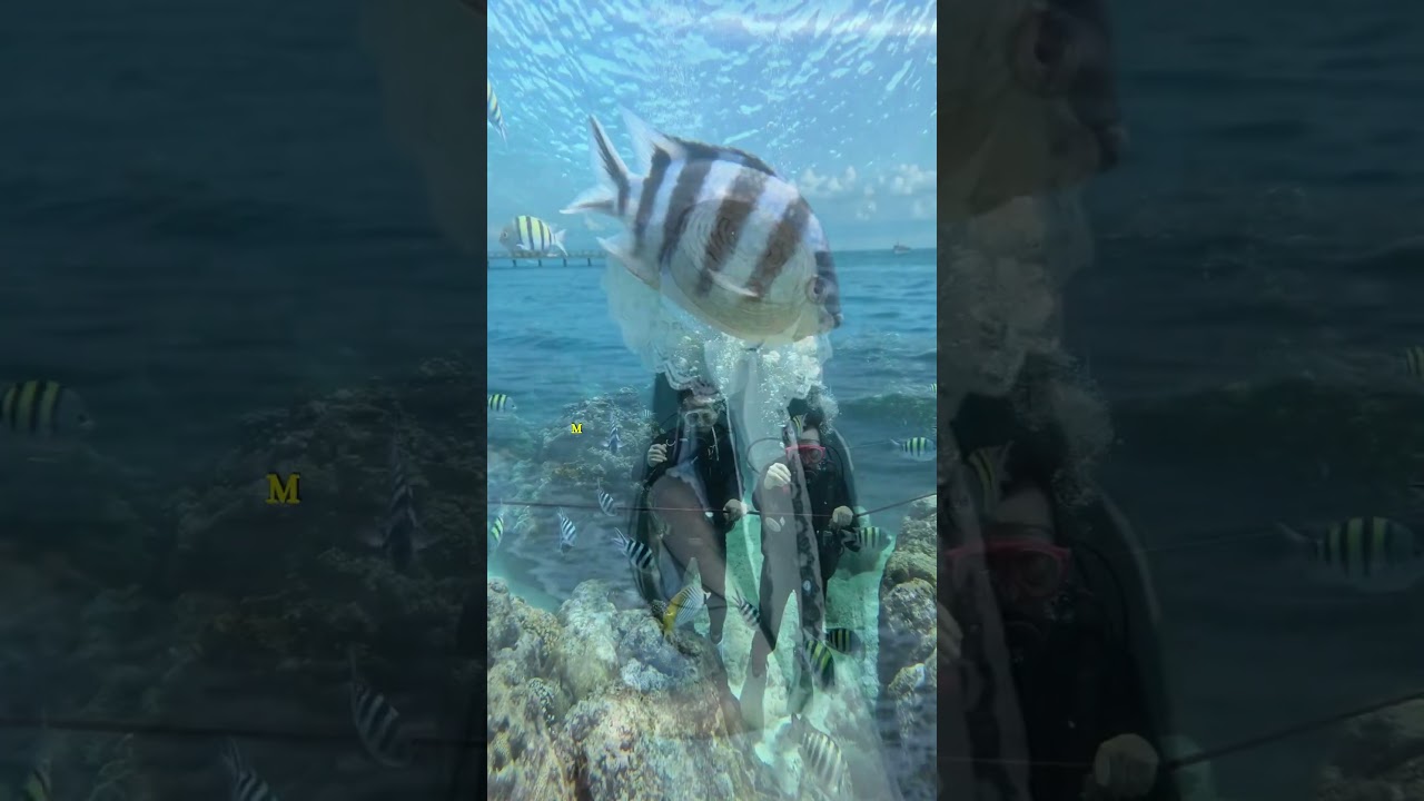 Bali First Timer Guide 2026 | Ubud & Uluwatu Secrets