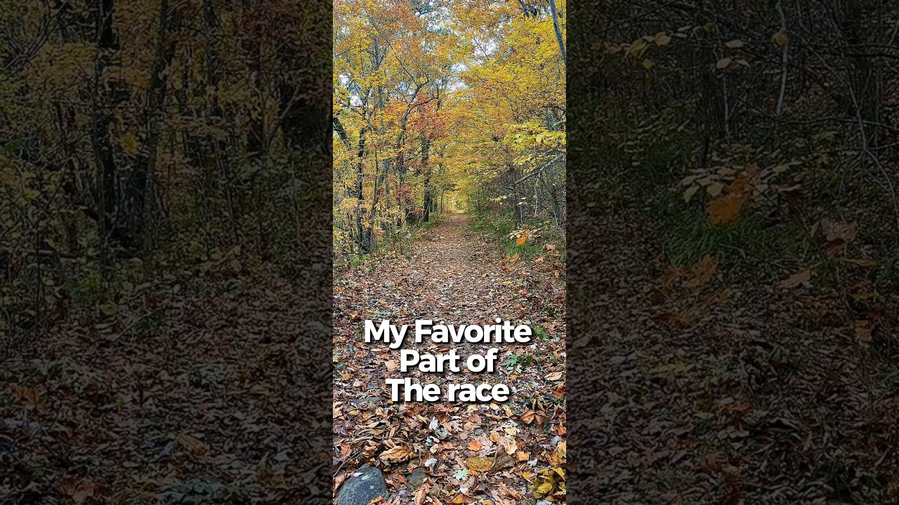 Ouachita Switchbacks 50K