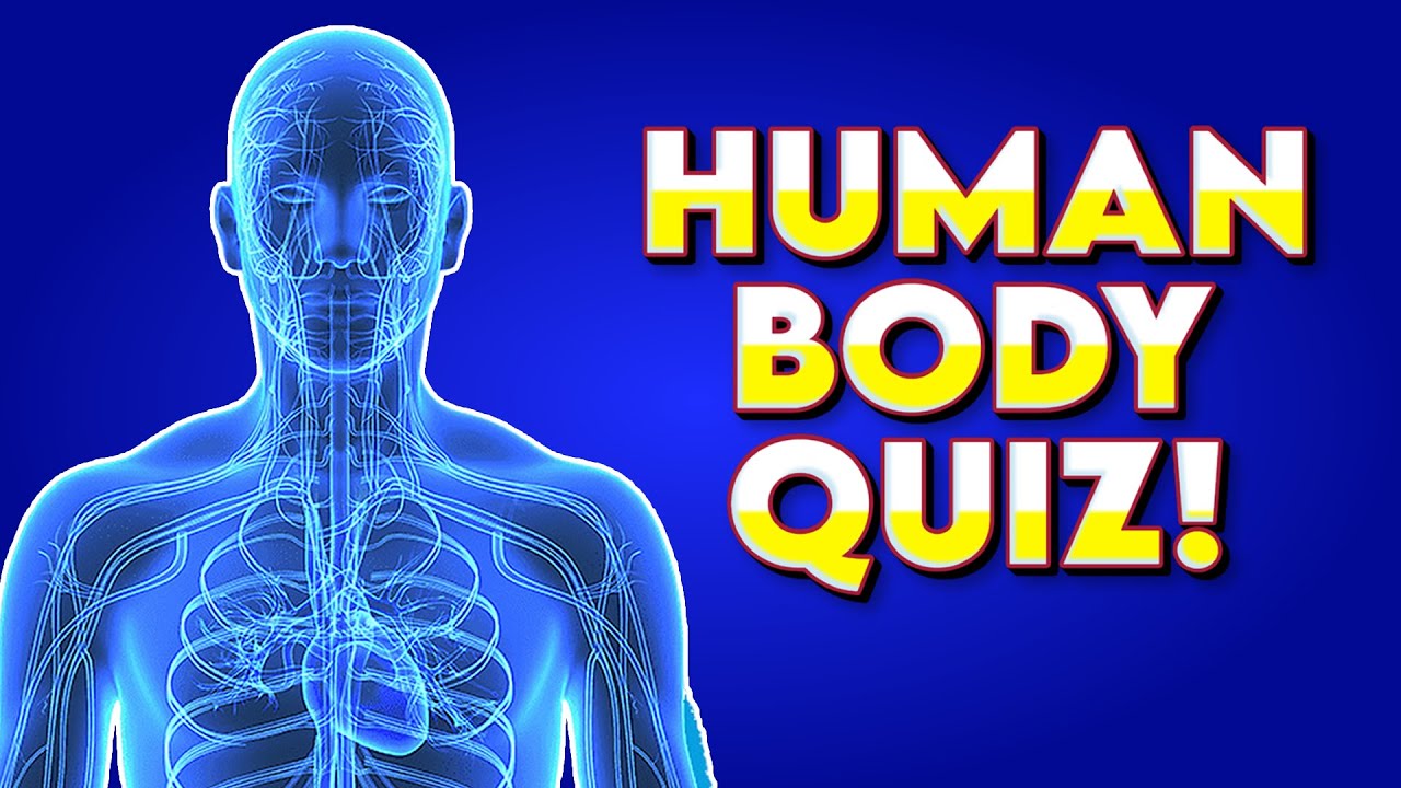 Сможете ли вы пройти этот тест по человеческому телу? 🧠 Викторина на общие знания
