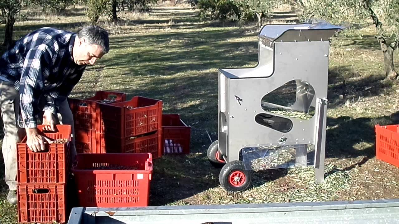 Modèle 2014 effeuilleuse à olives -- tri de 100kg en moins de 10 minutes--