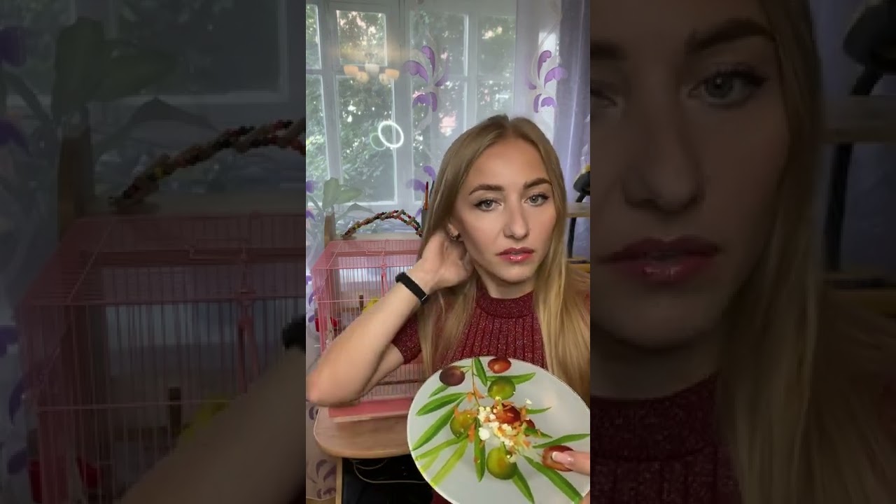 Как подготовить попугая к гнездованию?!