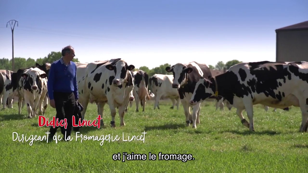 #LincetStory n°1 : Lincet, le goût du vrai