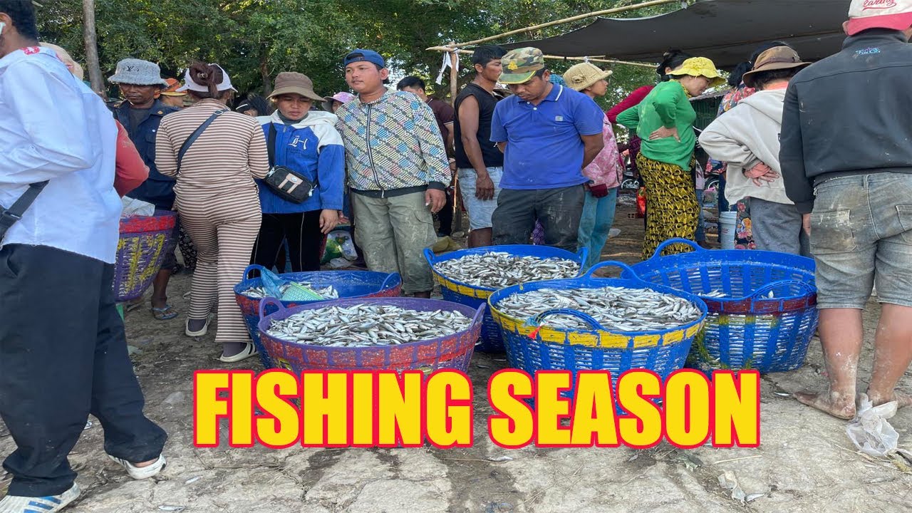Fishing Season in koh chen village kandal province CAMBODIA