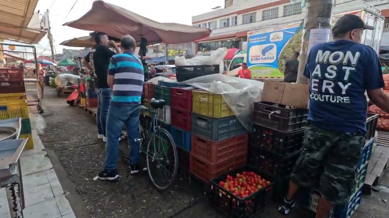 Welcome to Galería de Santa Elena, one of Cali, Colombia's most vibrant and bustling markets! 🌽🍉🐟