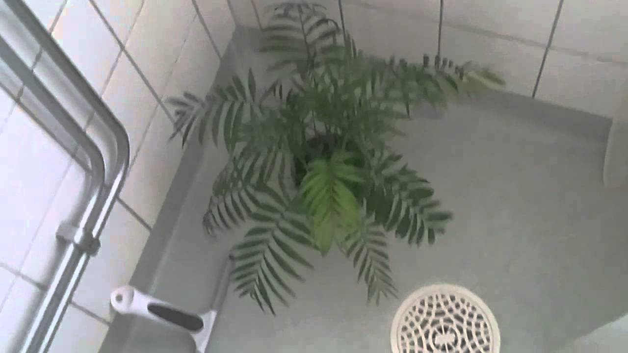 &hearts; Sp4zie IRL - Watering Plantie