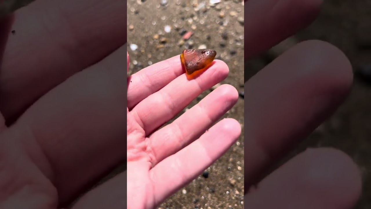 Another Day, Another Glorious Beachcomb