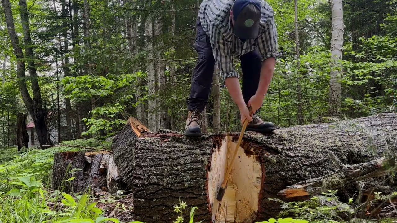 Big Log Challenge (slightly longer version) 