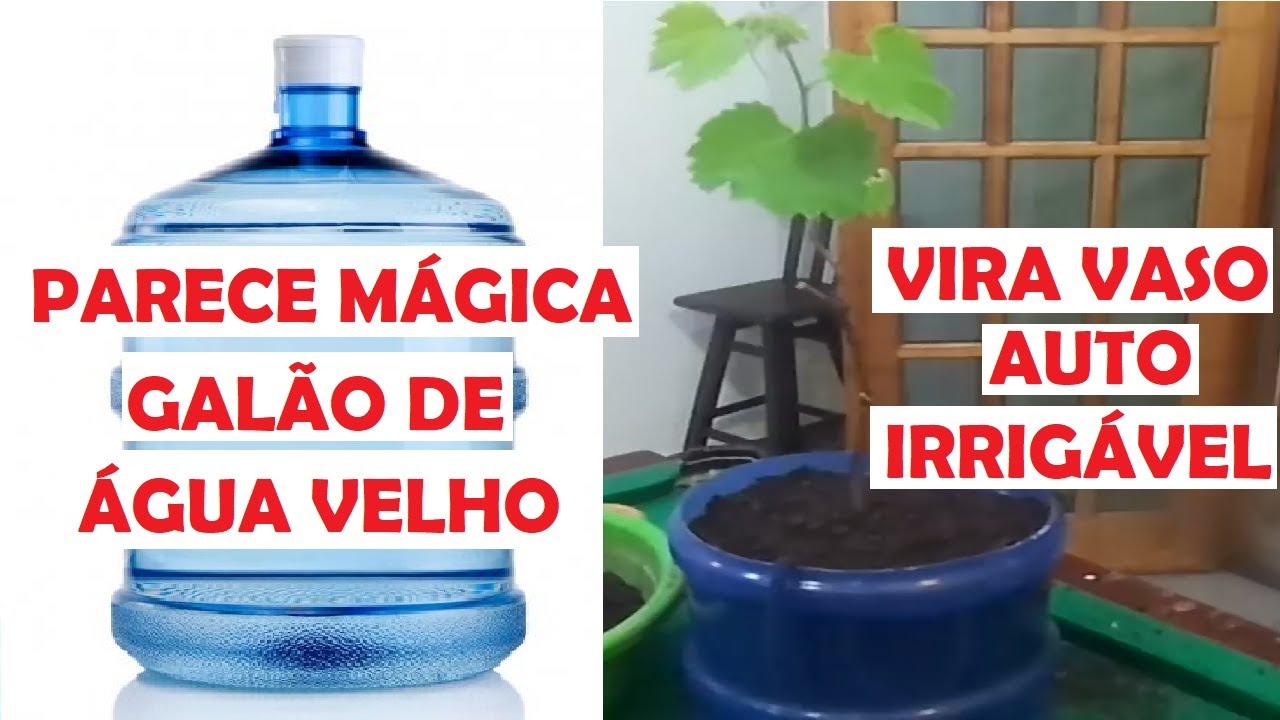 parece mágica, galão de água vira vaso auto irrigável grátis e sustentável.