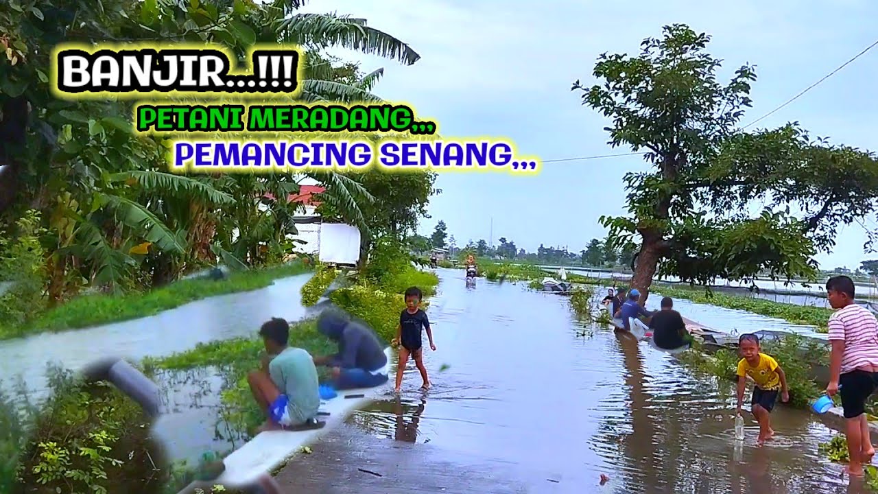 VIRAL...!!! BANJIR MAKIN PARAH,, IKAN MAS MELIMPAH #mancing #banjir