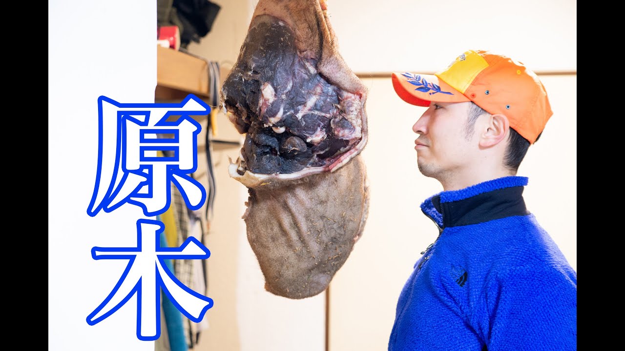 イノシシ生ハム原木作りますぞ
