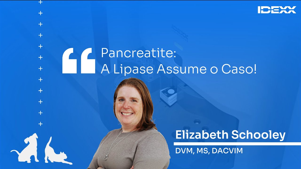 🇧🇷🔵 PANCREATITE: a Lipase assume o caso! 🎙️ IDEXX Talks | Lipase Pancreática #1