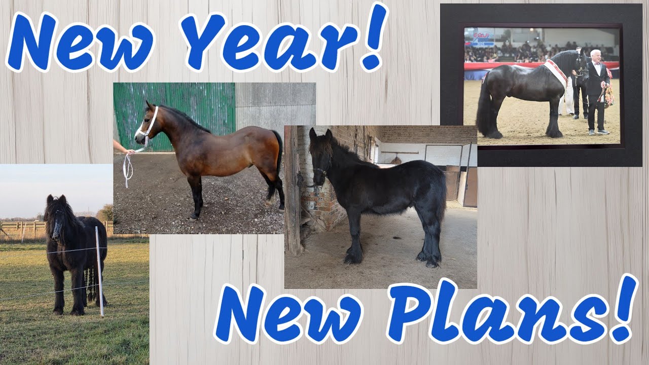 New Year, New Plans with the ponies