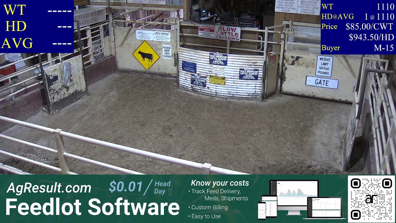 Beaver County Stockyards - 1/25/2022