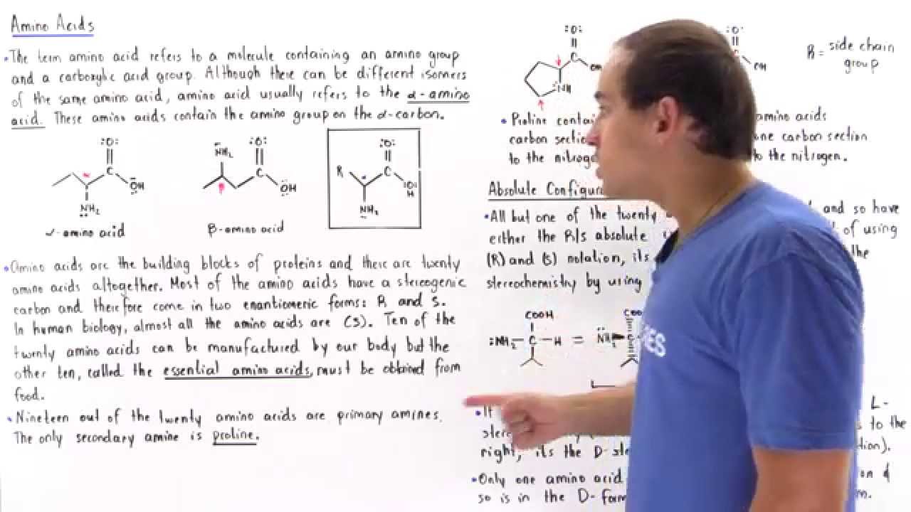 Structure of Amino Acids