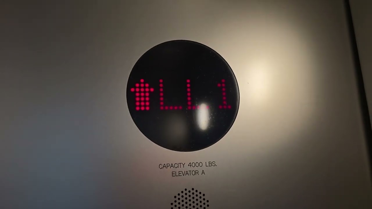 2019 Schindler Hydraulic Scenic Elevator at Saban Building Los Angeles, CA