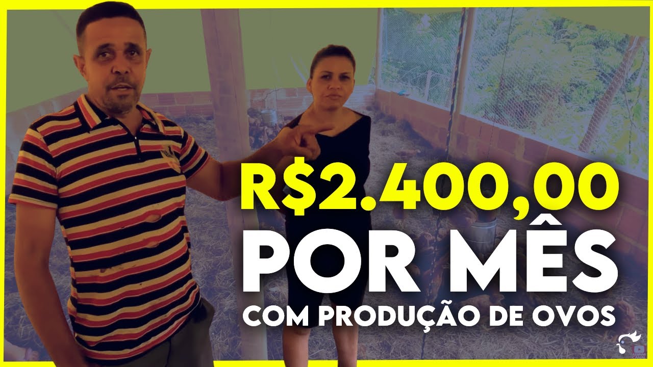 Como ganhar 2 SALÁRIOS criando GALINHA. SEGREDO REVELADO!