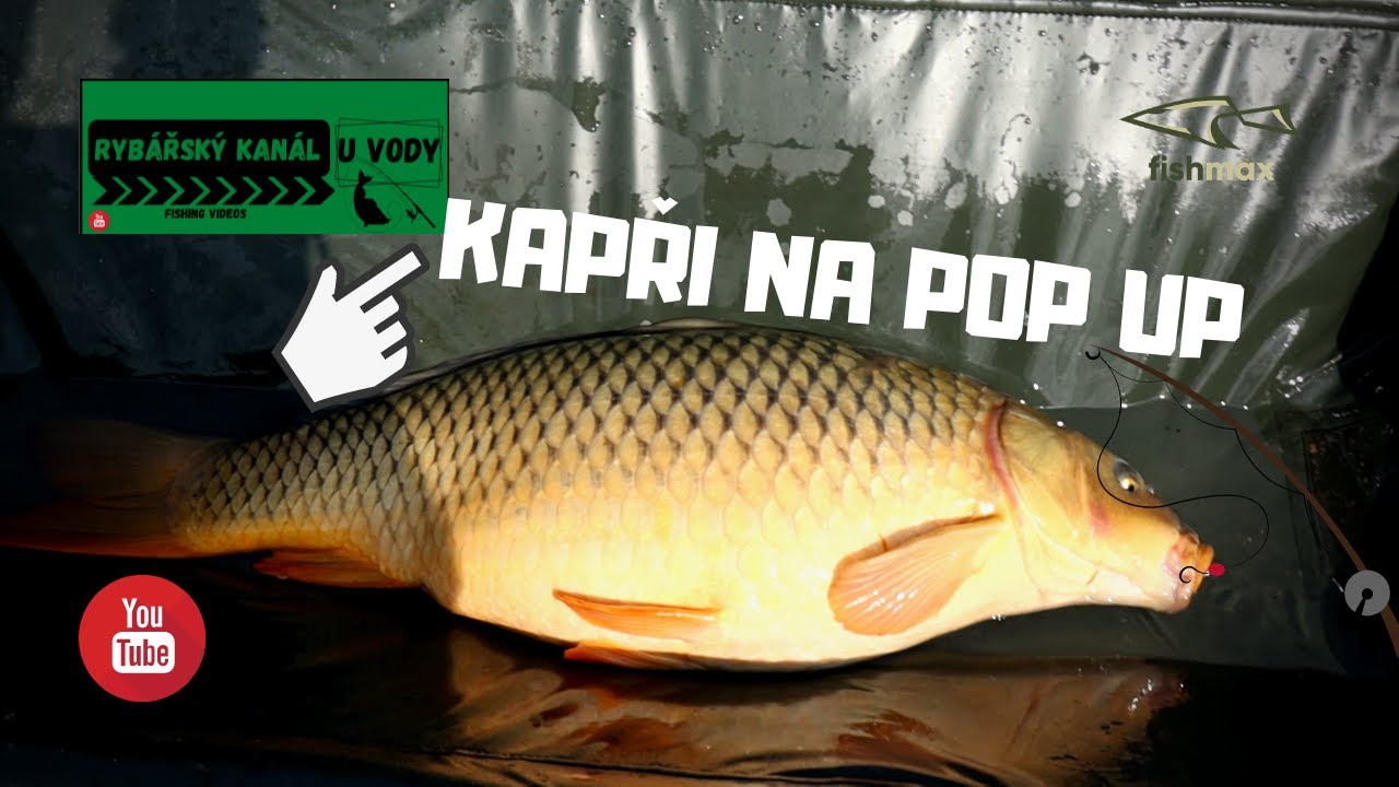 Kapři ze svazového štěrkáče/Chytání na pop up/Pozvání od FishMax/Nádherná voda a krásné ryby.