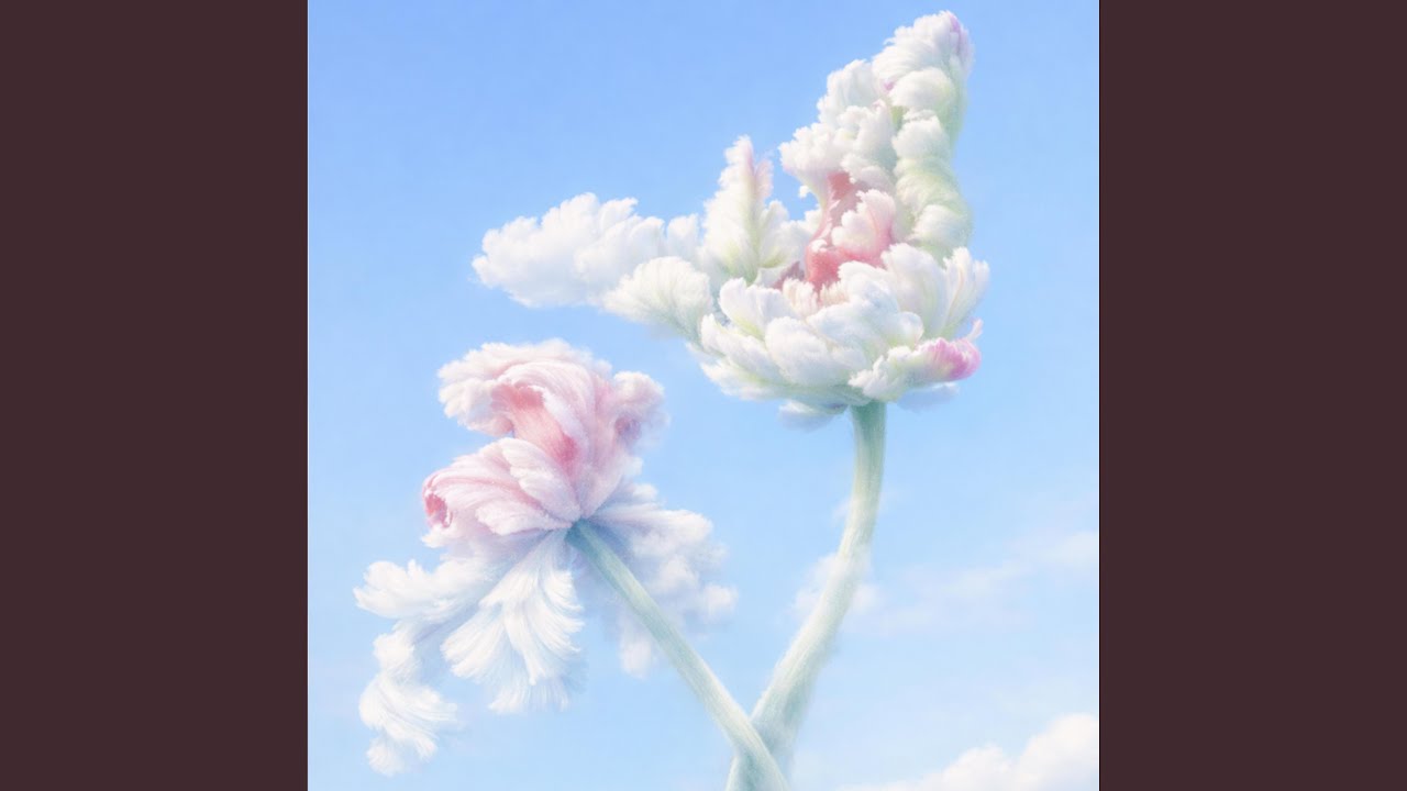White Space & Petals