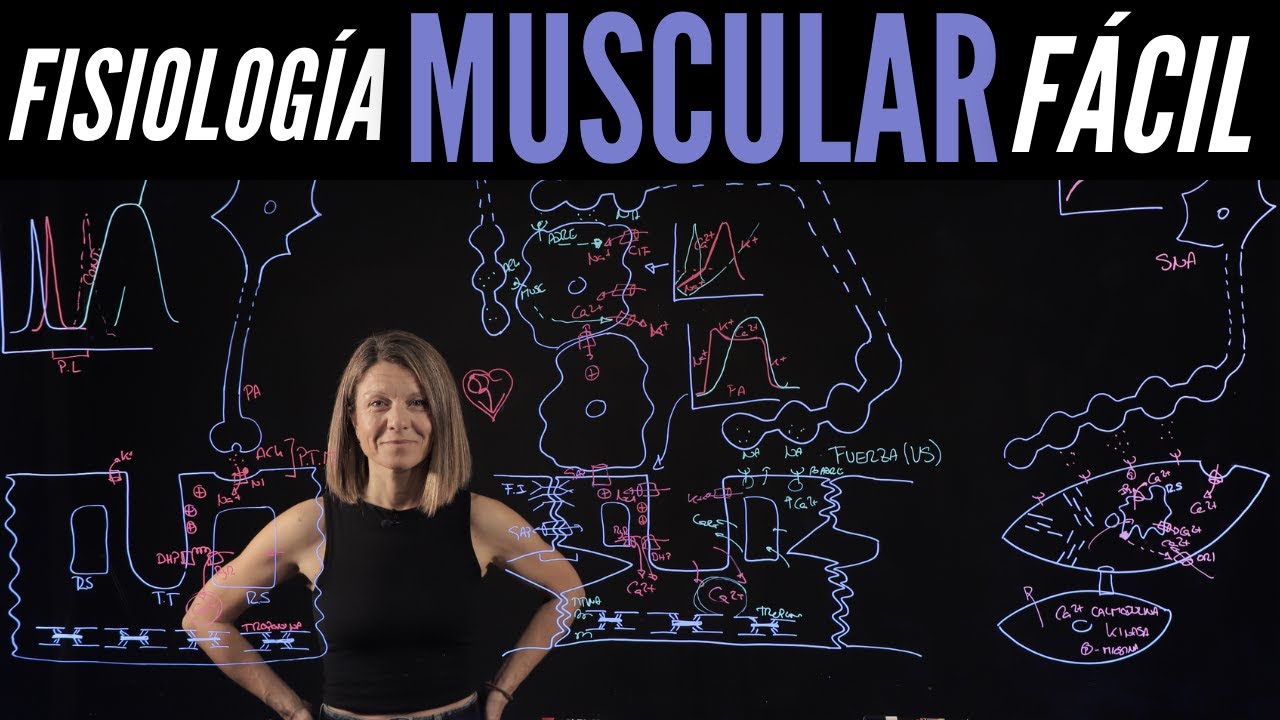 Acoplamiento excitación-contracción en los 3 tipos de fibra muscular
