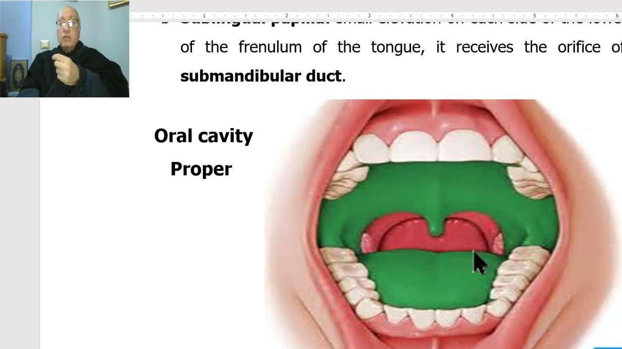 Anatomy of head and neck module in Arabic 89 (Oral cavity) , by Dr. Wahdan