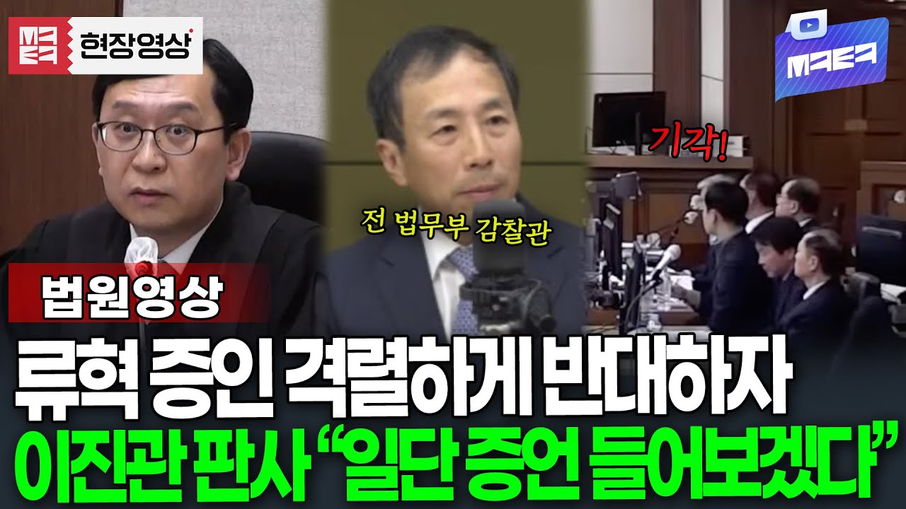 류혁 증인 기각 요청한 박성재 변호인 측.. 이진관 판사 