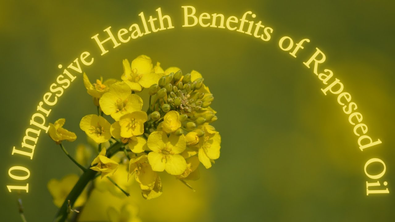 10 Impressive Health Benefits of Rapeseed Oil
