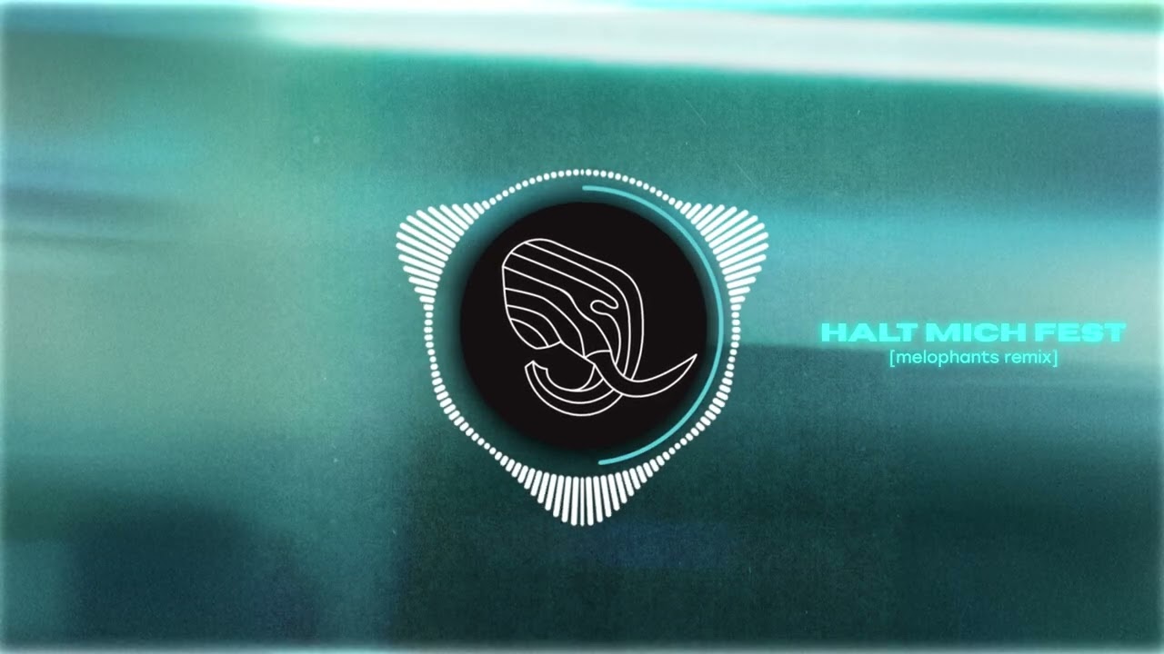 DROWSY CAL & maik wollherr - Halt mich fest (MELOPHANTS Remix)