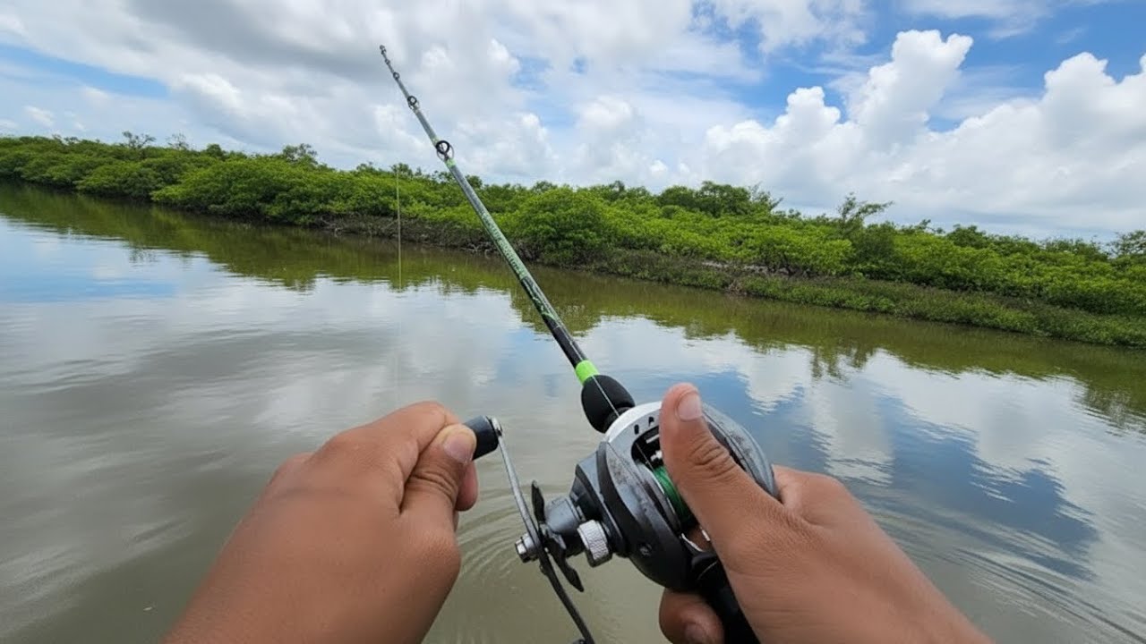 HOJE NÃO DEU PRO MEU IRMÃO...PEGUEI TODOS OS PEIXES DE LINHA 🎣😂