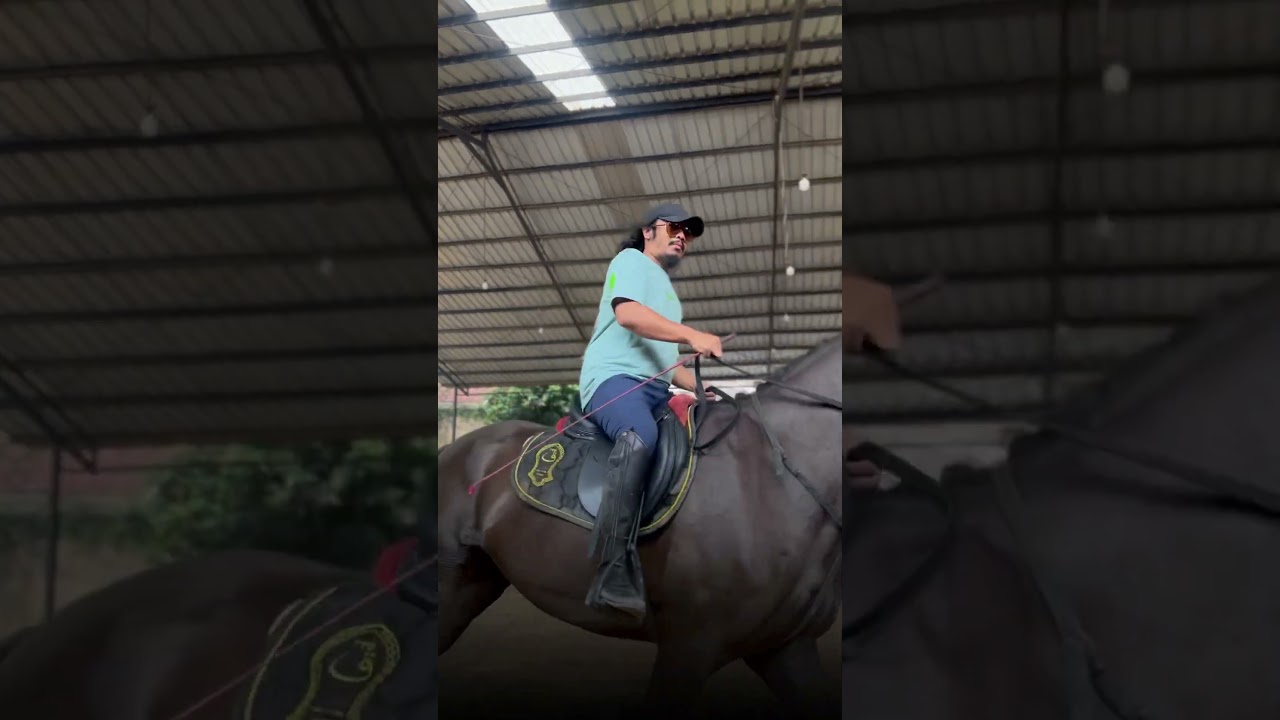 Berkunjung ke Stable muyassar