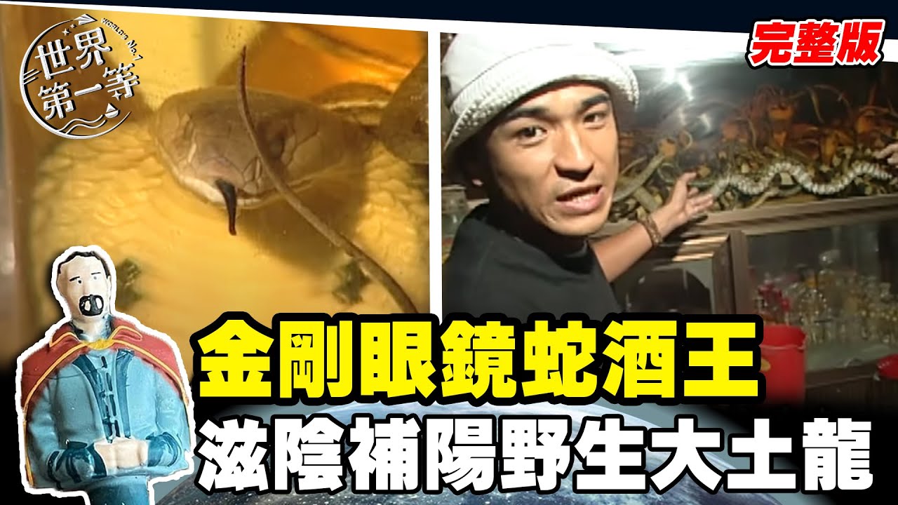 【越南】金剛眼鏡蛇酒王 滋陰補陽野生大土龍｜《世界第一等》27集完整版