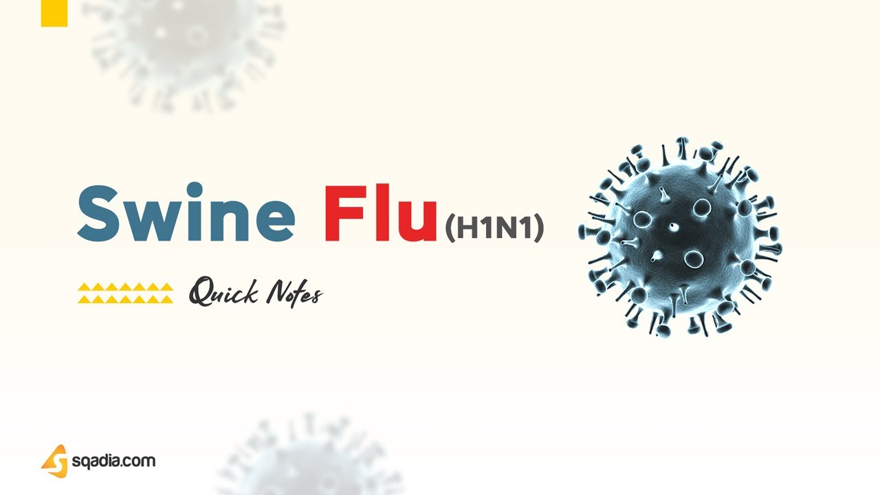Swine Flu (H1N1) Virus Microbiology Made Easy with sqadia.com V-Learning&trade;