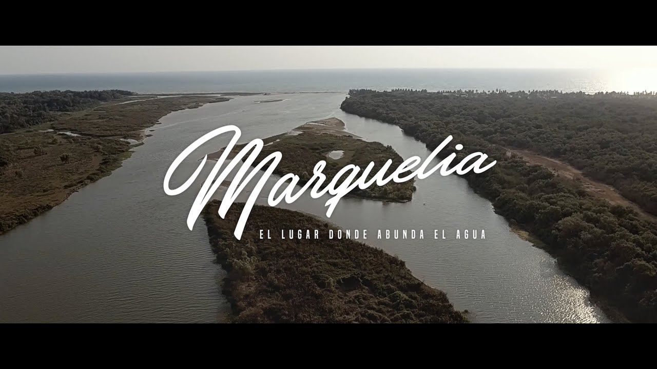 DOCUMENTAL 