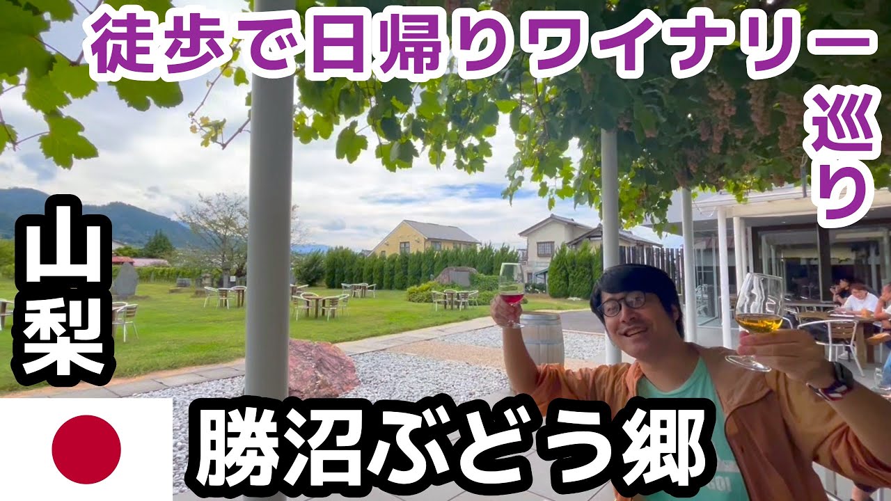 【🇯🇵山梨・勝沼ぶどう郷】日帰りワイナリー巡り旅｜日本一のぶどうの里で味わう本場ワイン