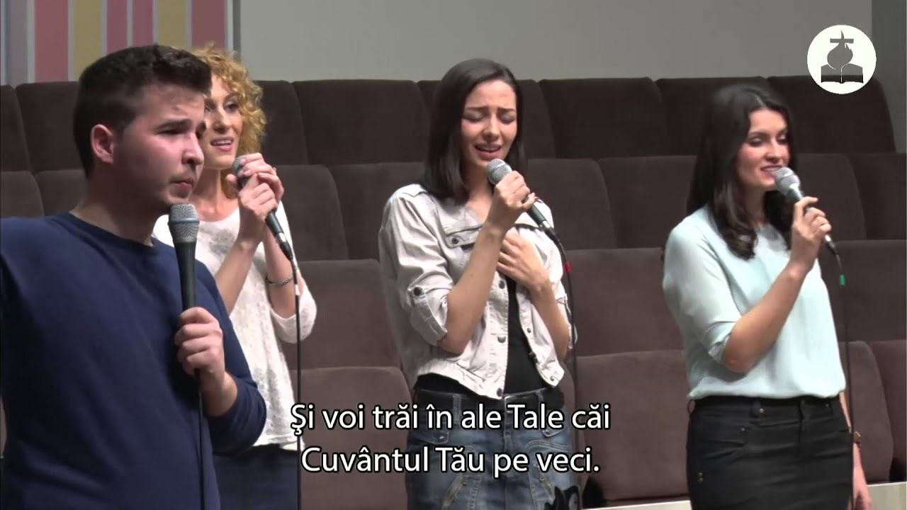 Excelsis Worship - In bratul Tau