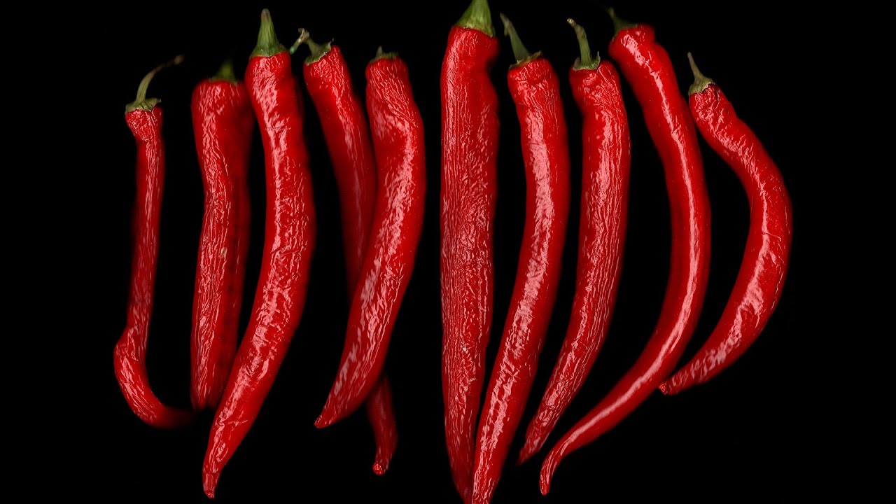 Как фотографировать без фотоаппарата. Сканография.