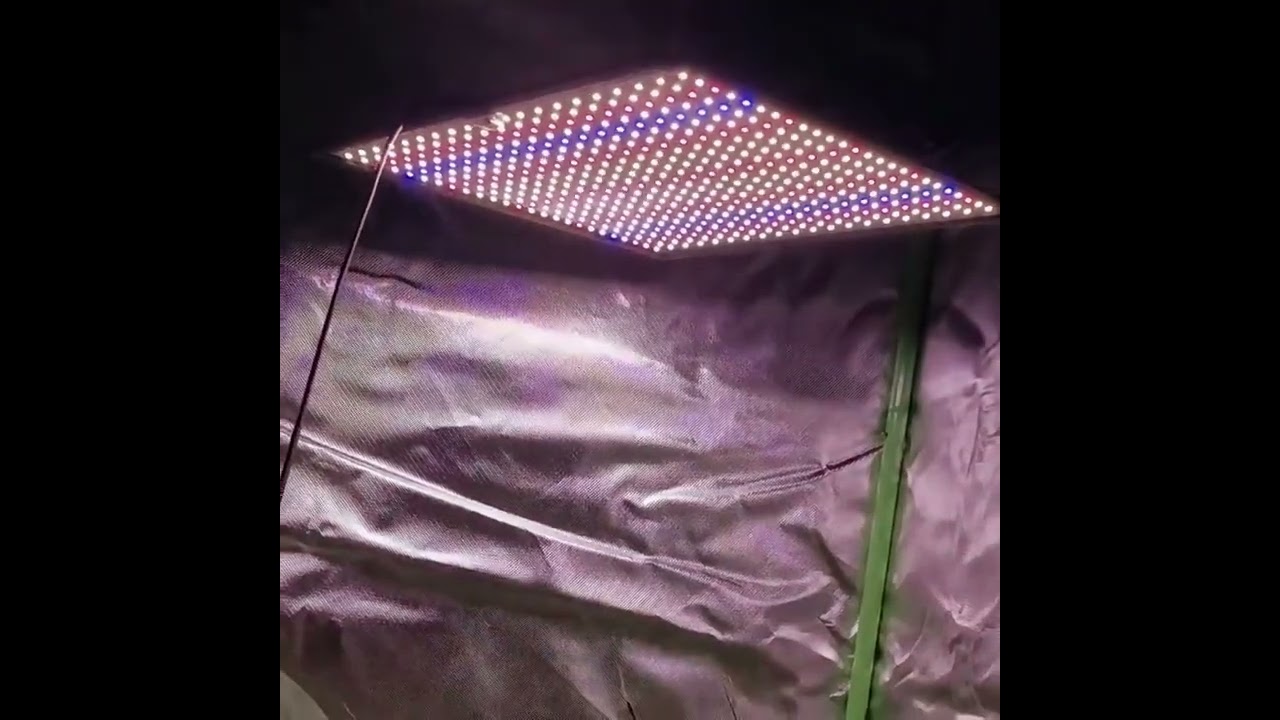 LED Grow Light Full Spectrum Phyto Lamp AC85-240V 40W For Indoor