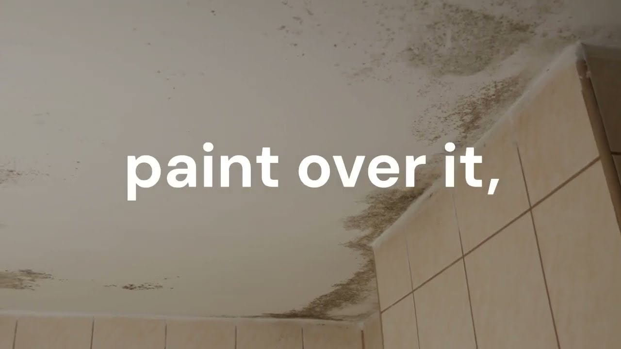 Never Paint Over Mold&mdash;Do This First (Real Fix)
