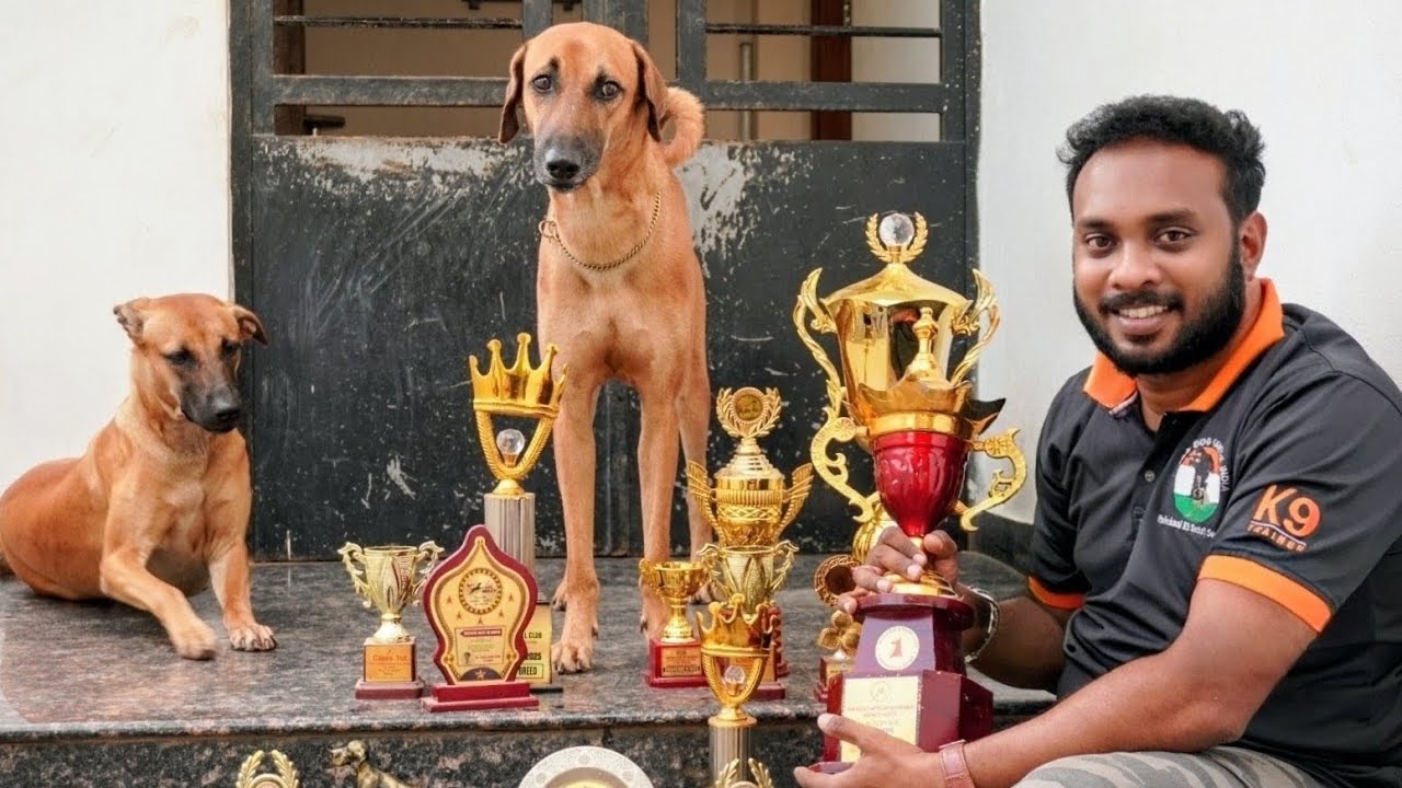 Kombai Rocky (Indian Champion CD Qualified) × Teena | Working Line Litter | Week 0