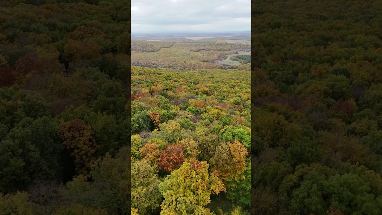 Naszaly #travel #drone #dji #fall #hungary
