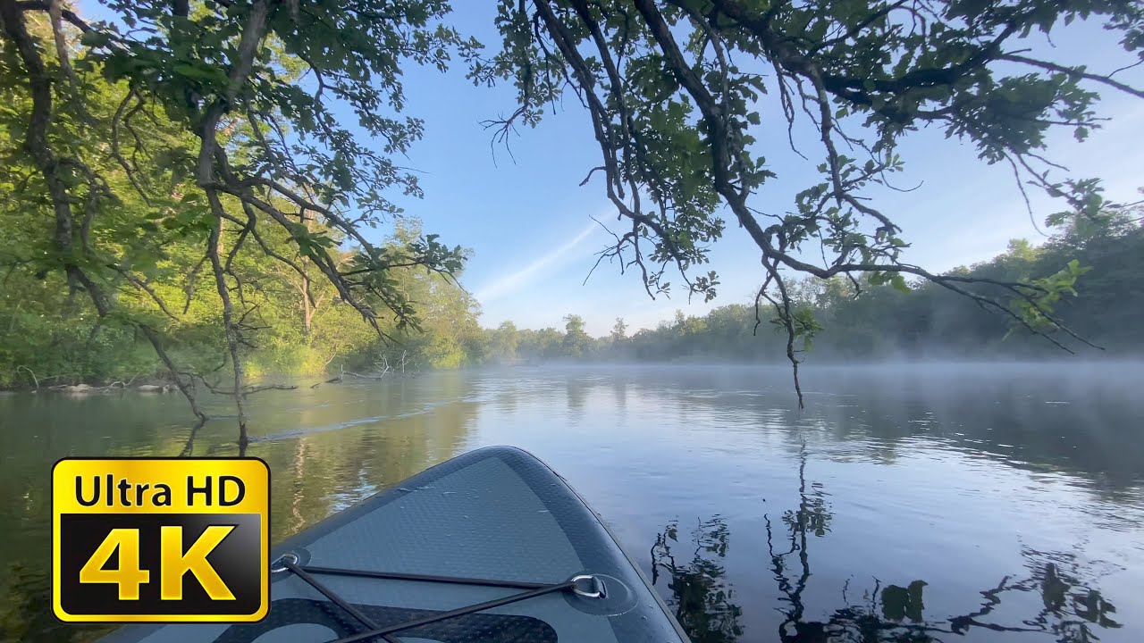 ASMR Soothing River Paddleboarding (SUP) with Abundant Wildlife and Bird Calls 4K ULTRA HD SLEEP AID