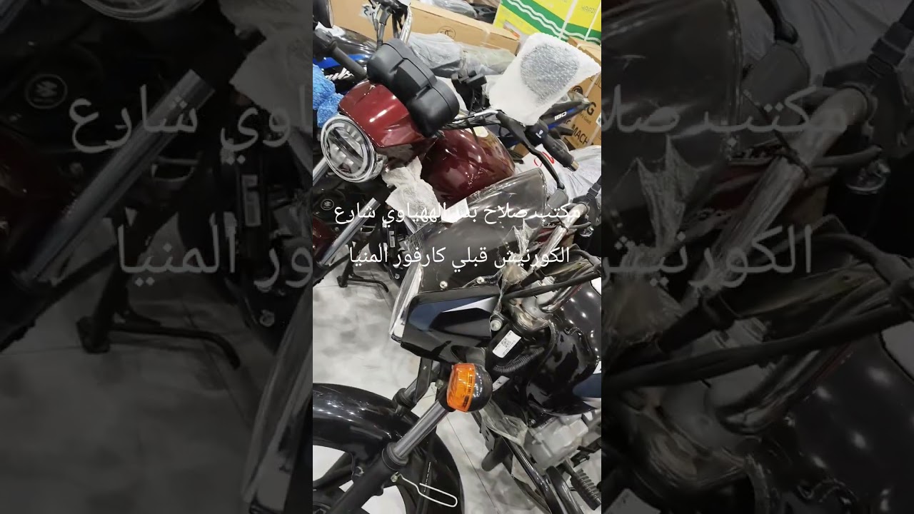 ١٥ يناير ٢٠٢٦